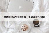 墨迹武汉天气预报？看一下武汉天气预报？